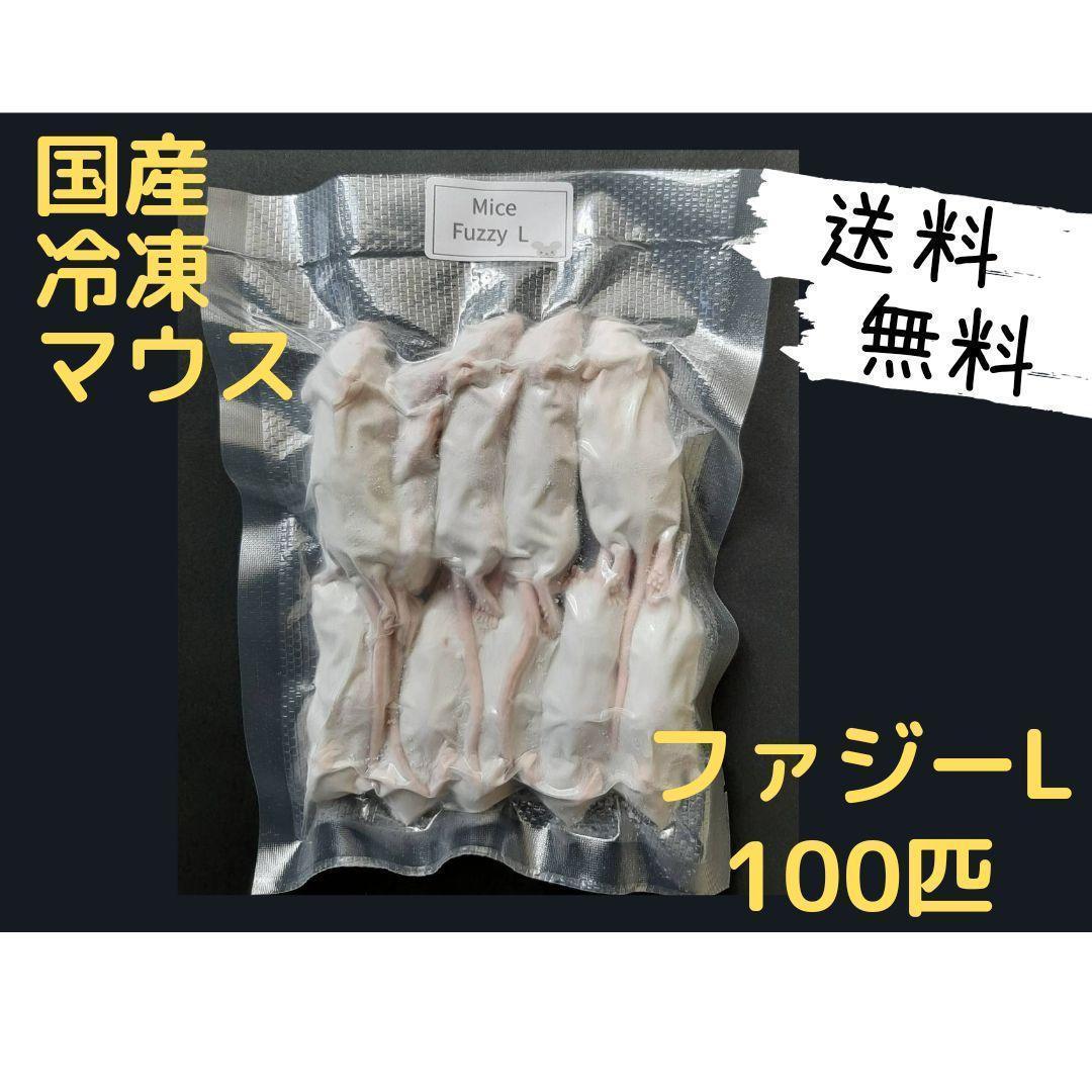 国産冷凍マウス ファジーL 100匹 (一部地域発送不可)