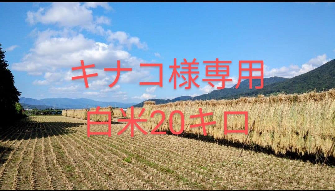 キナコ 白米 20キロ