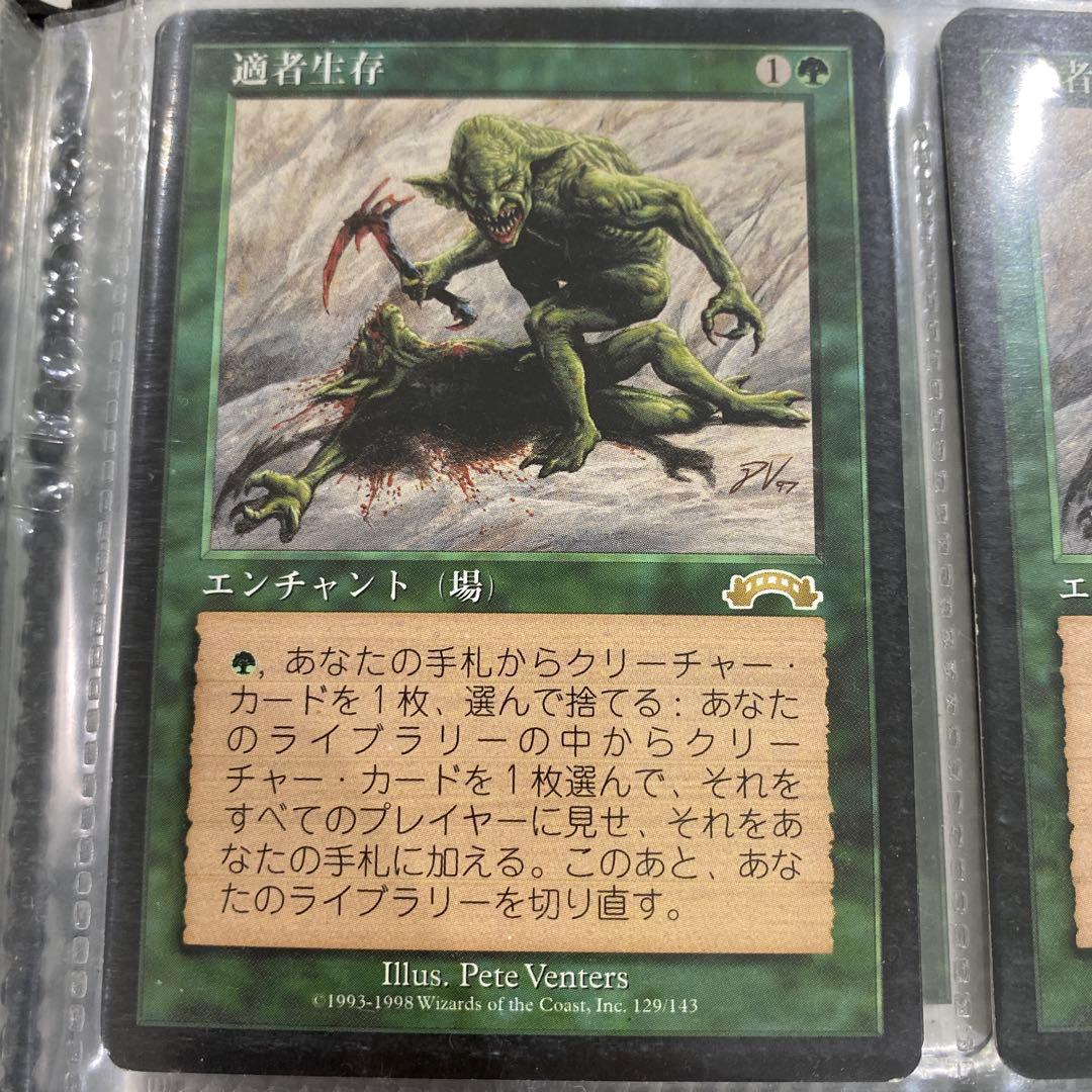 適者生存 エンチャントカード