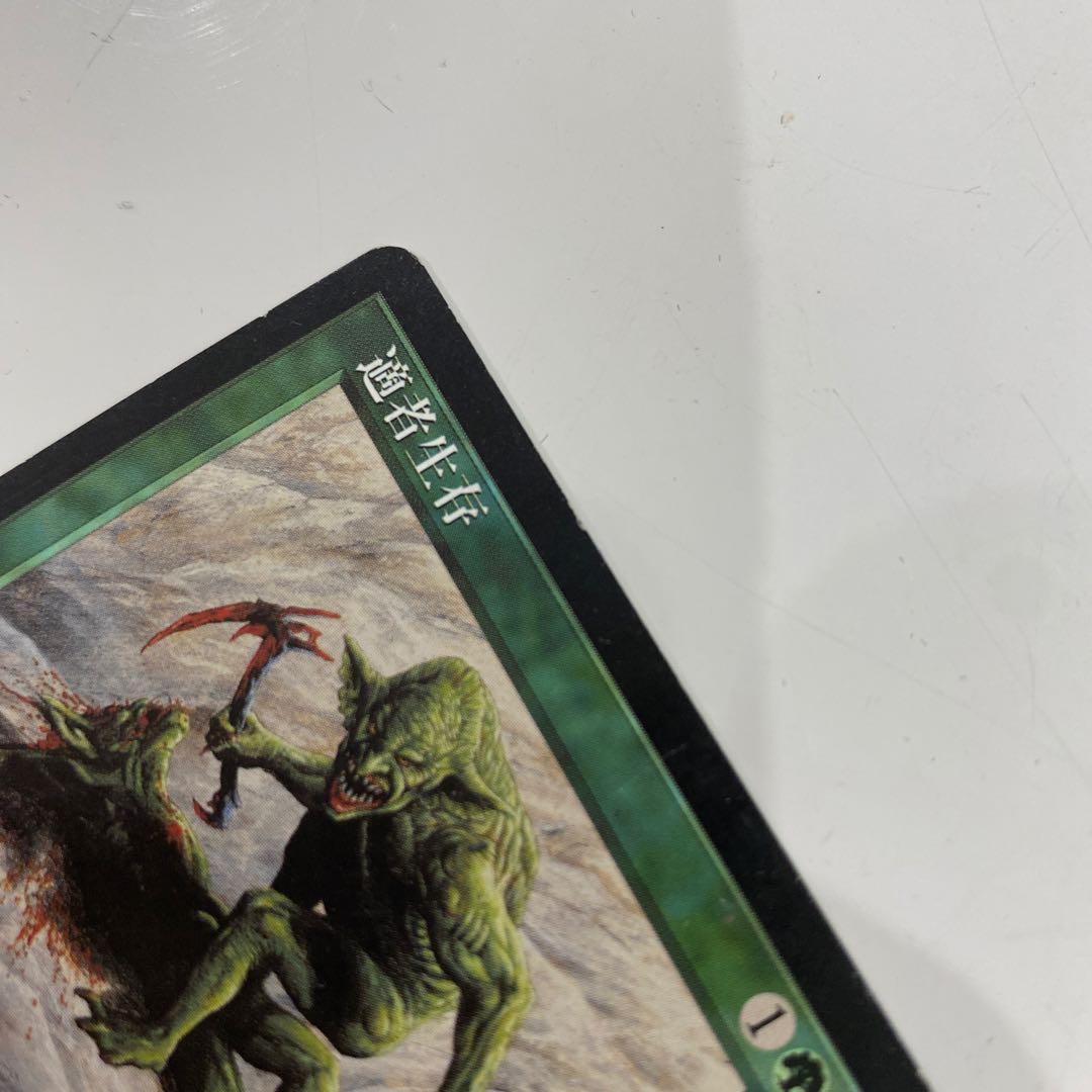 適者生存 エンチャントカード