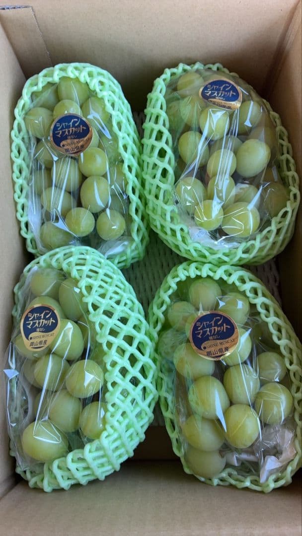 ②岡山県産シャインマスカット4kg
