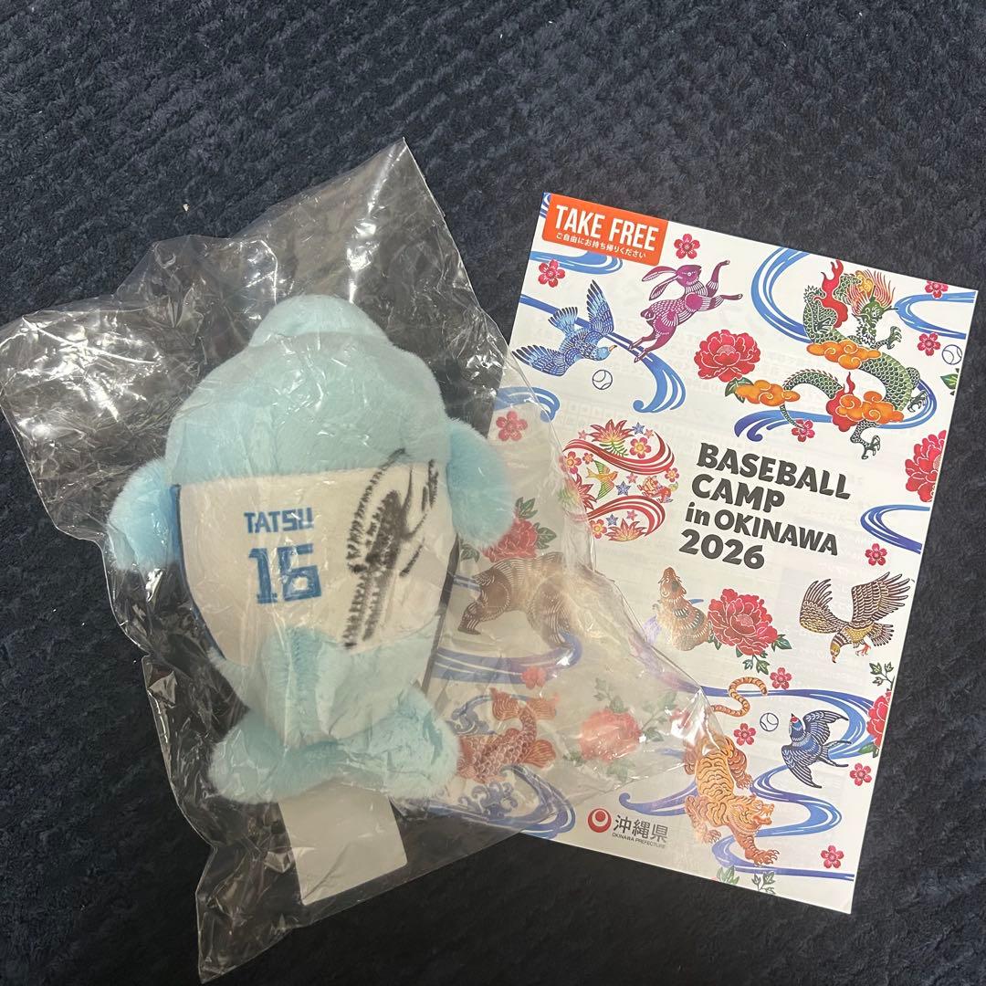 日本ハムファイターズ 沖縄キャンプ限定　イルカ　くじ　 達孝太　直筆　サイン入り