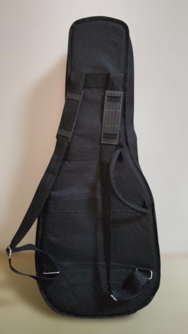 KALA KA-UBASS FS カラ ウクレレベース