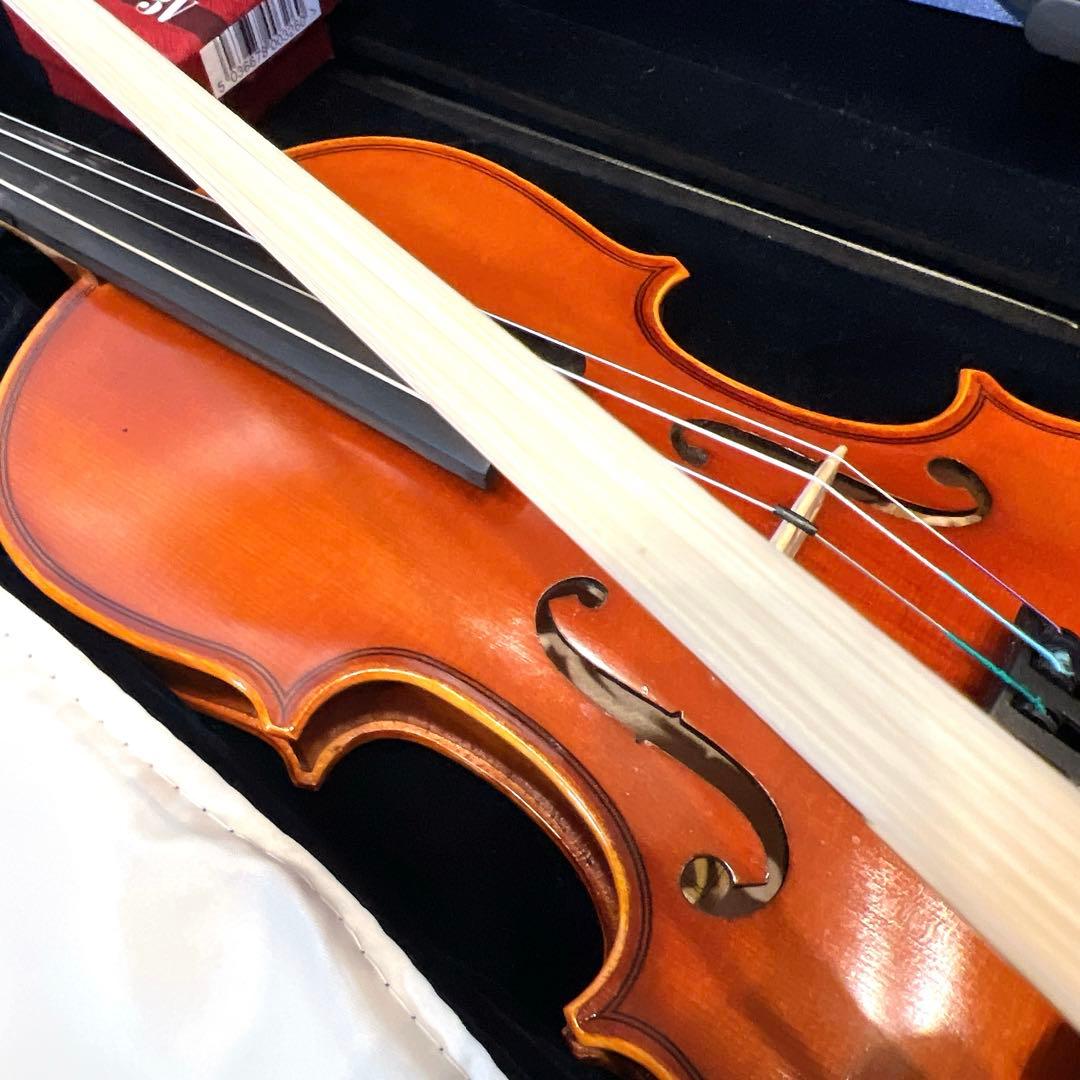 【良品】Andreas Eastman VL80 1/4 2021年製