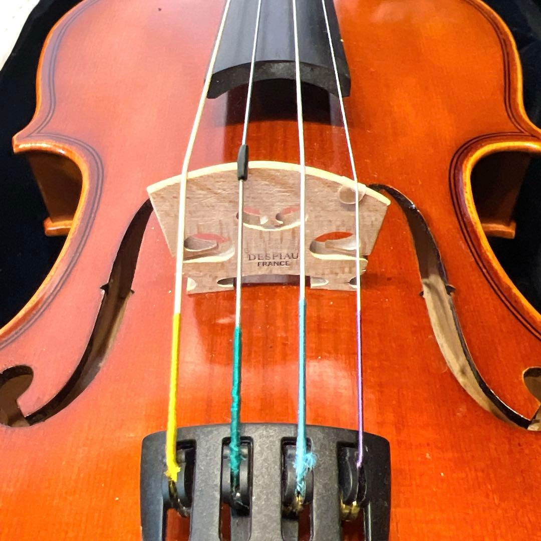 【良品】Andreas Eastman VL80 1/4 2021年製