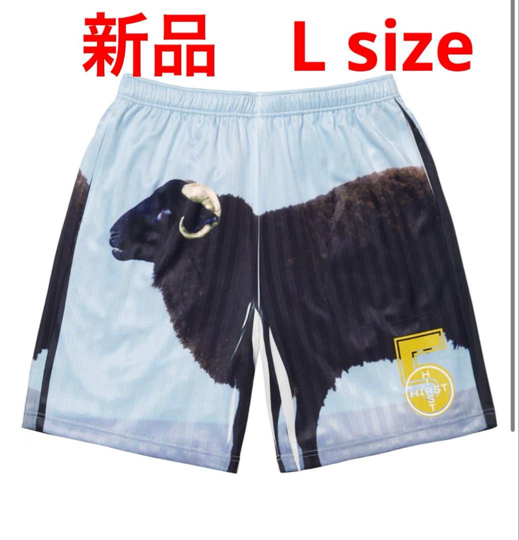 新品　Supreme Damien Hirst Soccer Short L
