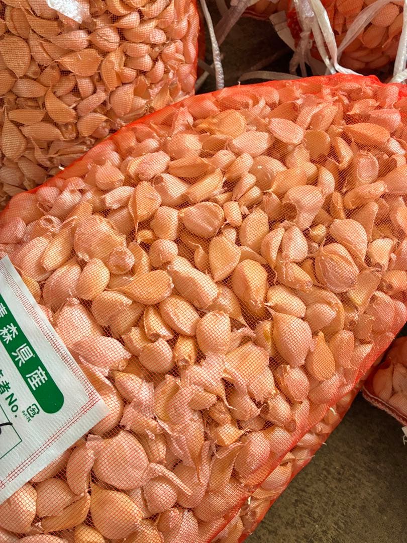 新物　青森バラにんにく10Kg ML