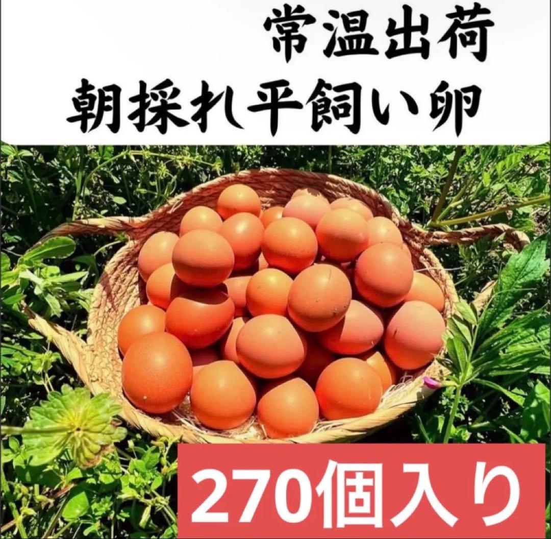 平飼い鶏卵 270個入り