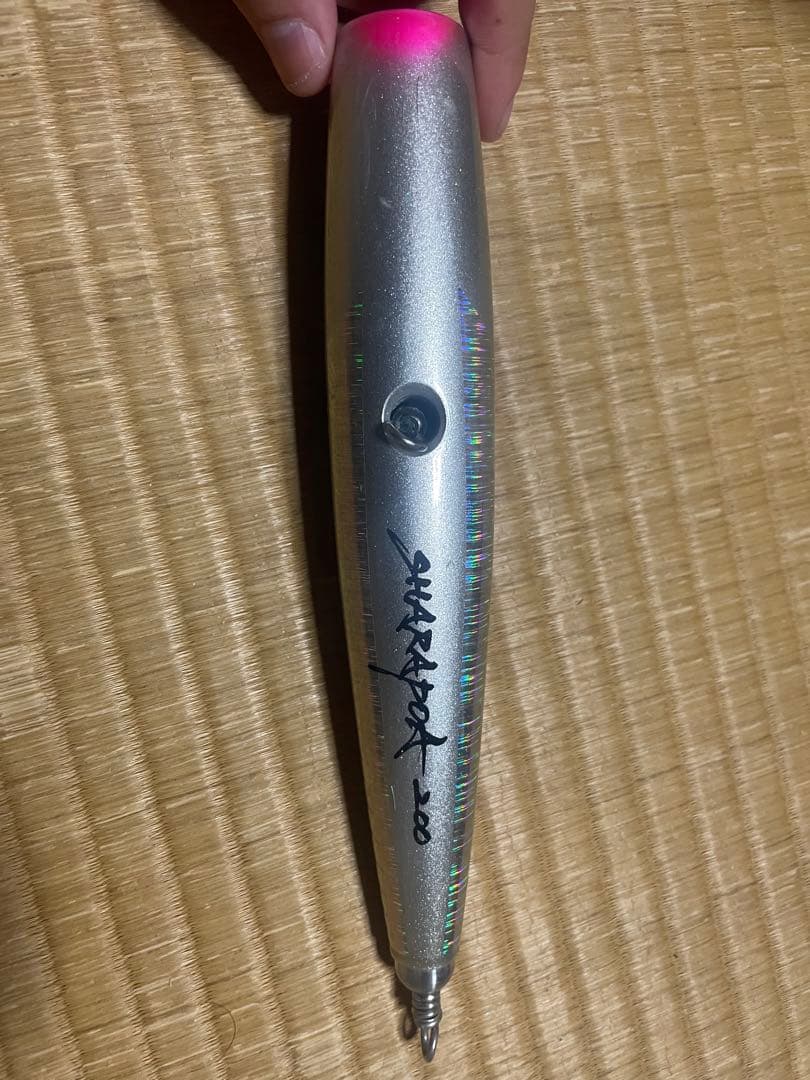 ハンマーヘッド　シャラポア200