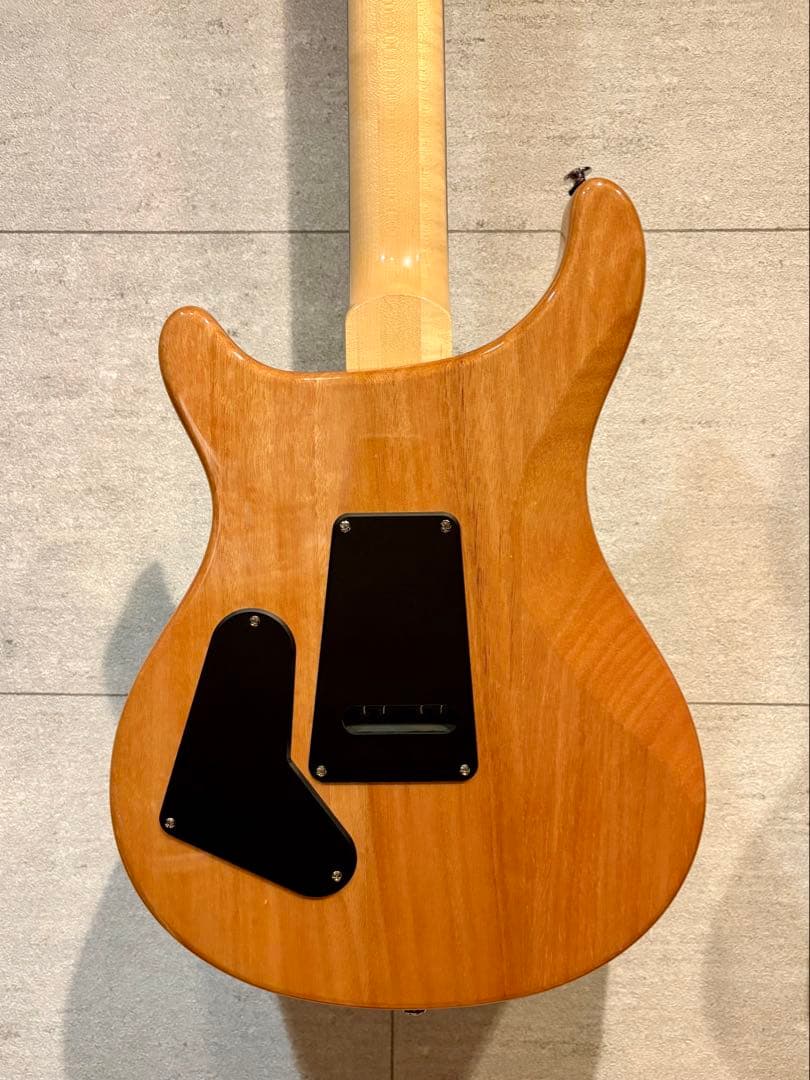 ギター PRS SE custom 24 35th Anniversary