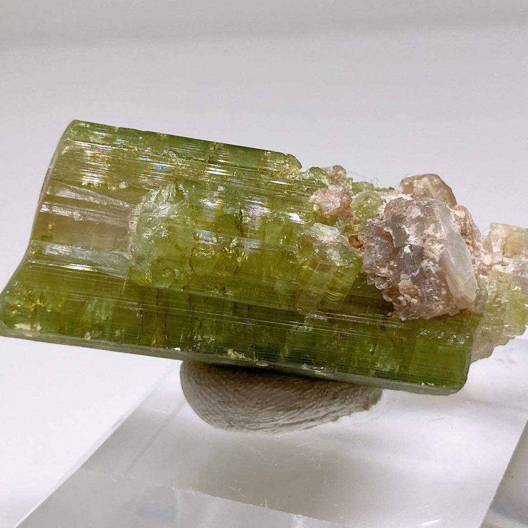 トルマリン　ウォーターメロントルマリン　鉱物標本　原石　305