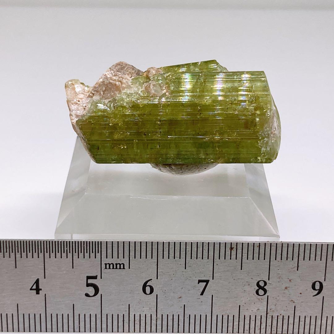 トルマリン　ウォーターメロントルマリン　鉱物標本　原石　305