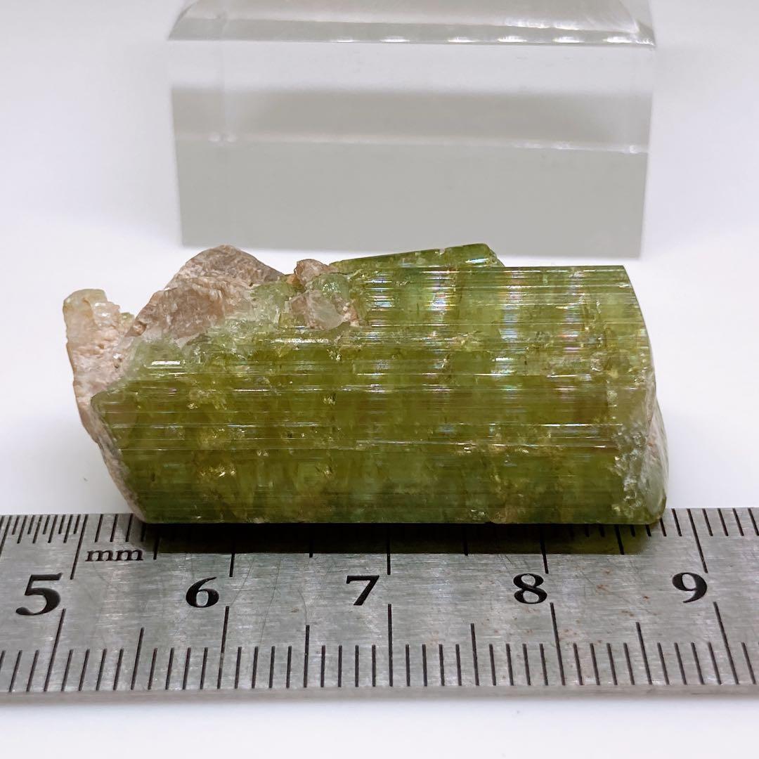 トルマリン　ウォーターメロントルマリン　鉱物標本　原石　305