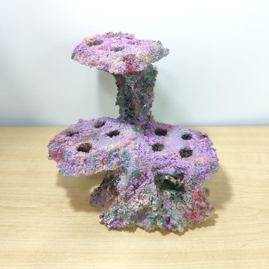 プラグ穴付き アク抜き不要人工ライブロック 海水水槽 レプリカ コーラルフラグ5