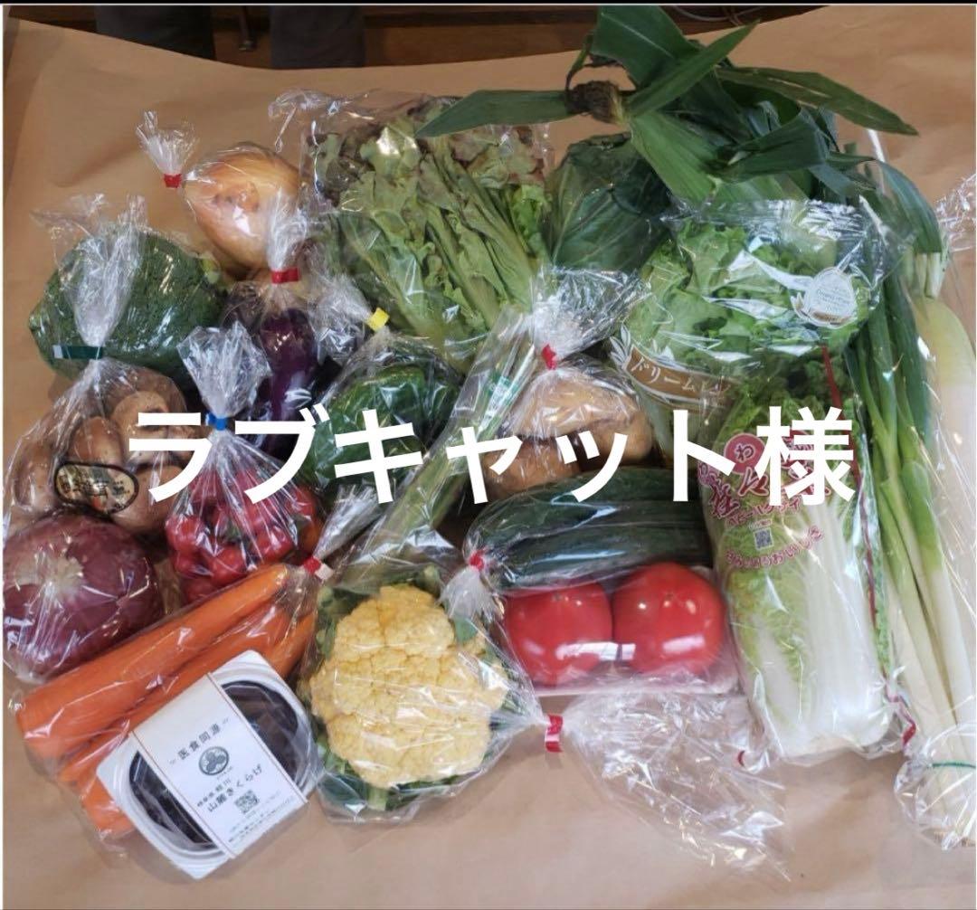 ラブキャット様 野菜セット お米10K