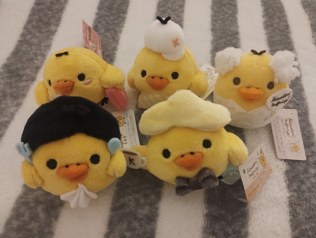 キイロイトリまとめ売り