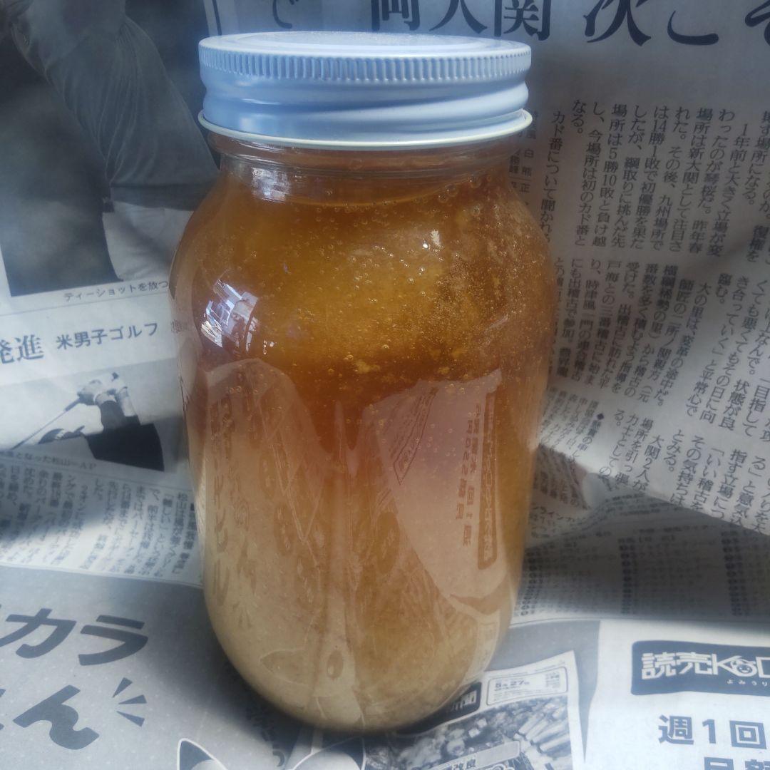 日本蜜蜂　ニホンミツバチ　蜂蜜　ハチミツ　はちみつ　ソロキャンプ