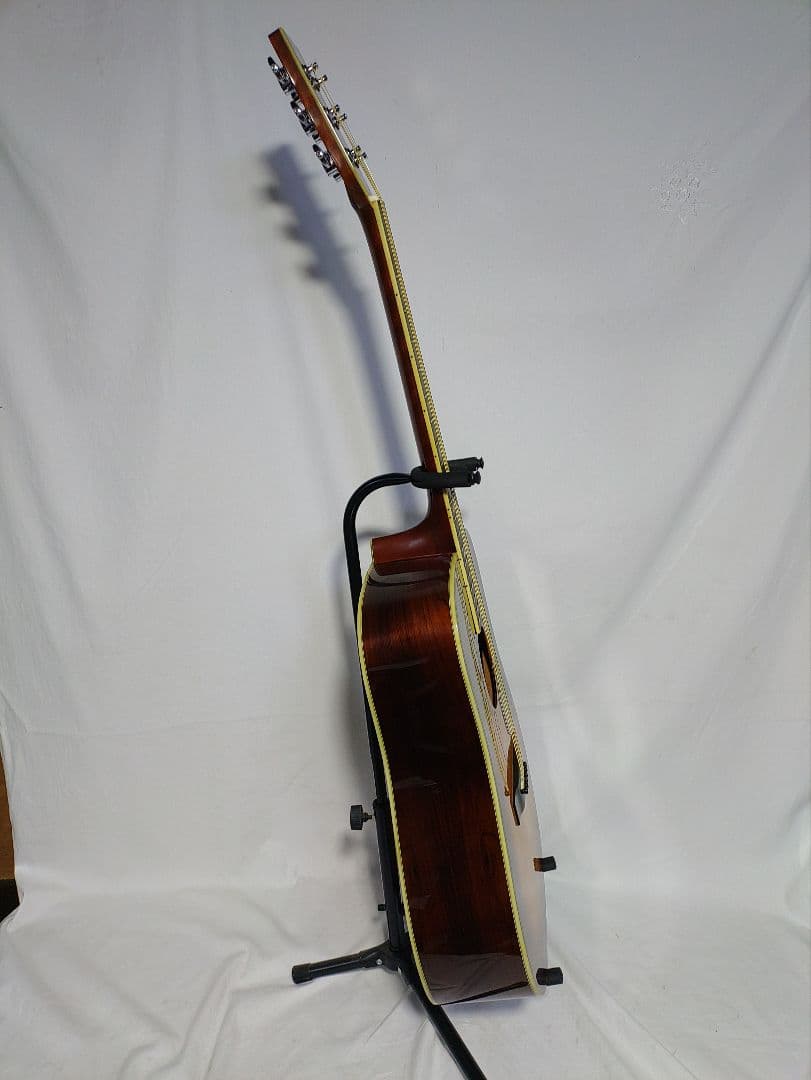 Morris TF　W-50 サンバースト 　　　　ハードケース付属