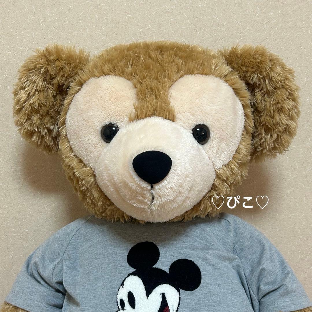 ディズニー 初期 ダッフィー&シェリーメイ ぬいぐるみ セット LLサイズ