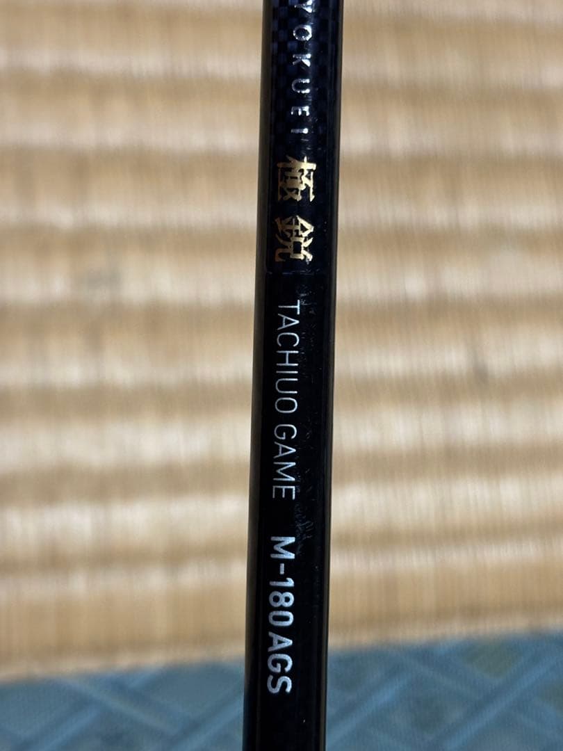 Daiwa 極鋭M-180AGS タチウオテンヤ