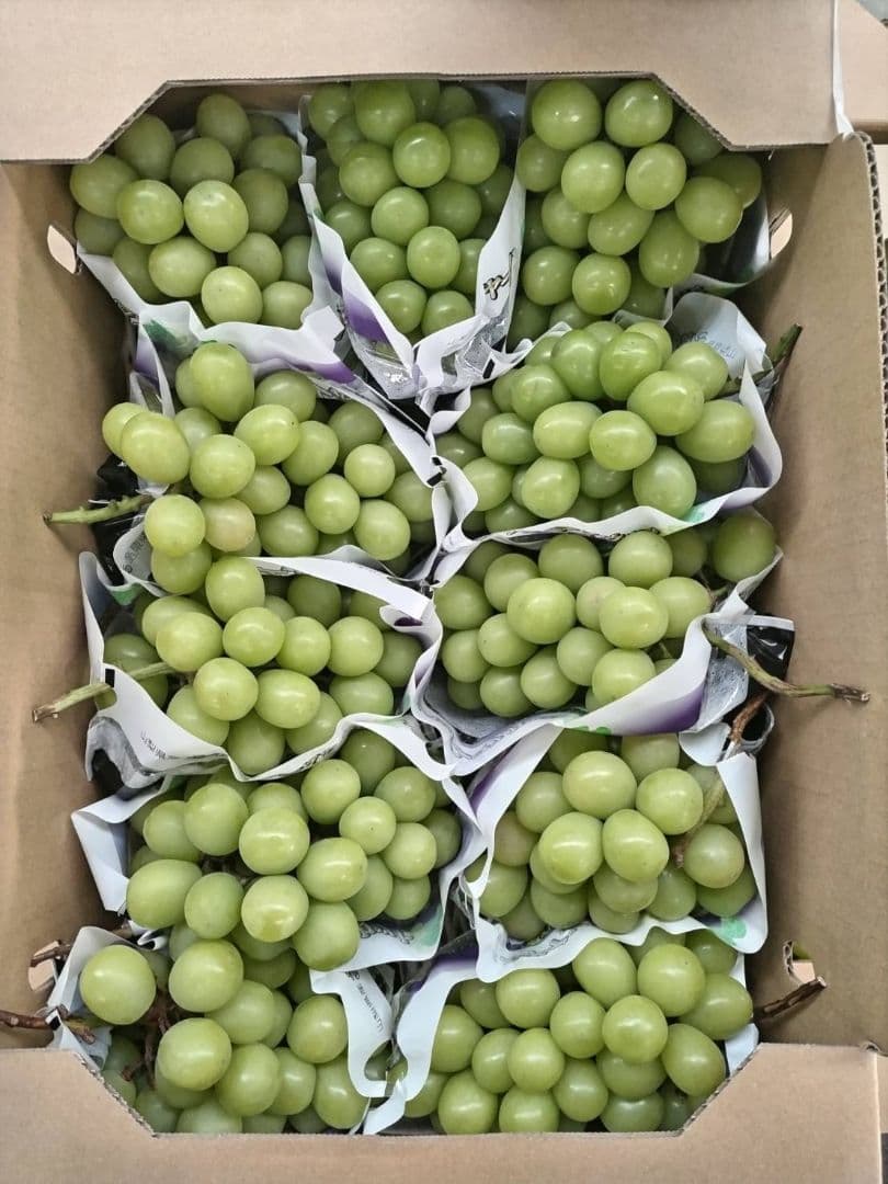 シャインマスカット　5キロ　10−11入　山梨県産
