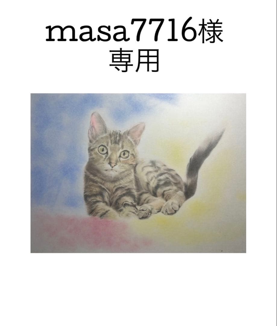 masa7716　猫猫　絵画