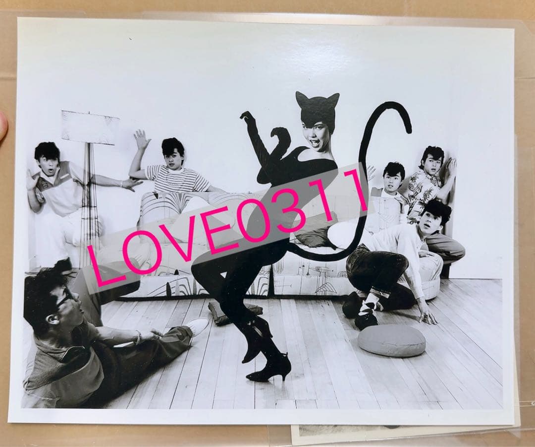 ブラックキャッツ ジャケット用 非売品 生写真 black cats ロカビリー