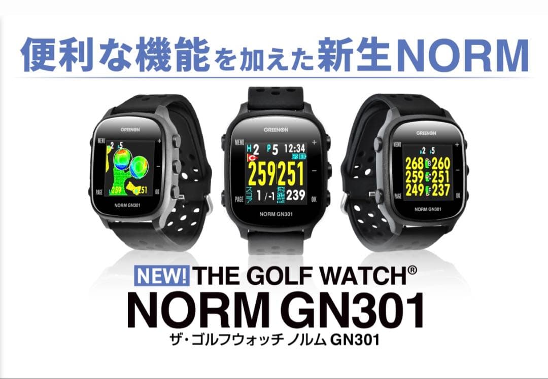 新品❣️未使用❣️GREENON NORM GN301 GPSナビ❣️