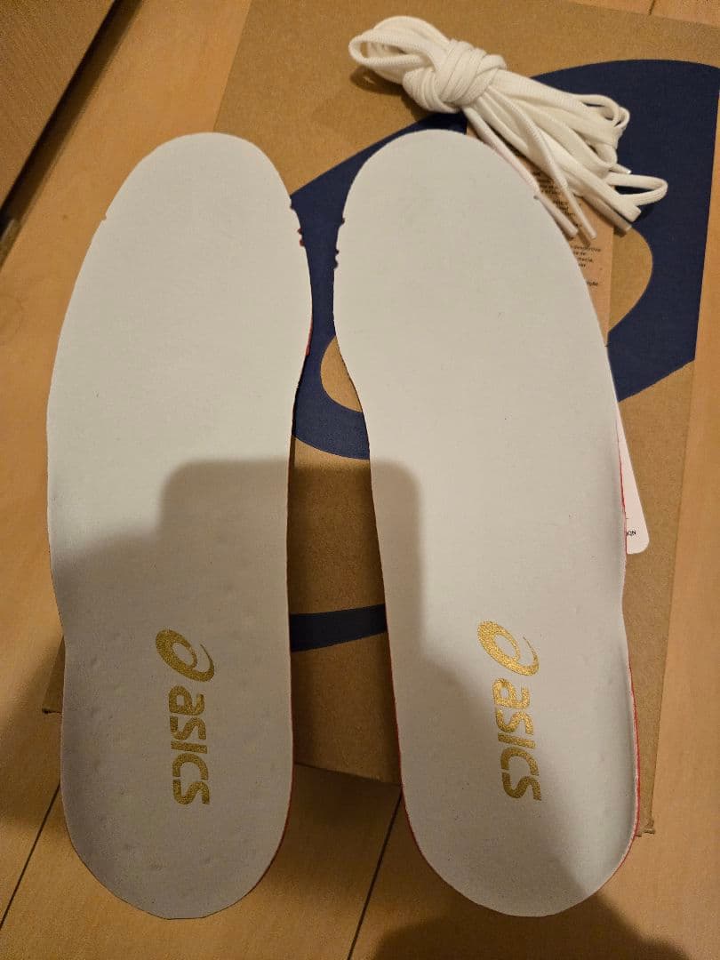 サッカースパイク 25.0 アシックス DSライト アクロス2