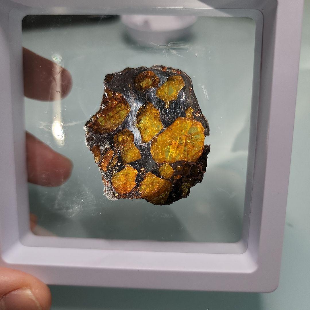 イミラックパラサイト　隕石