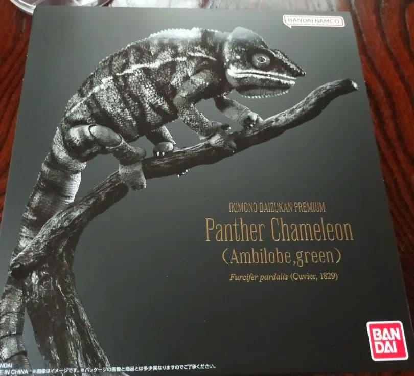 いきもの大図鑑プレミアム　パンサーカメレオン　アンビローブ・グリーン