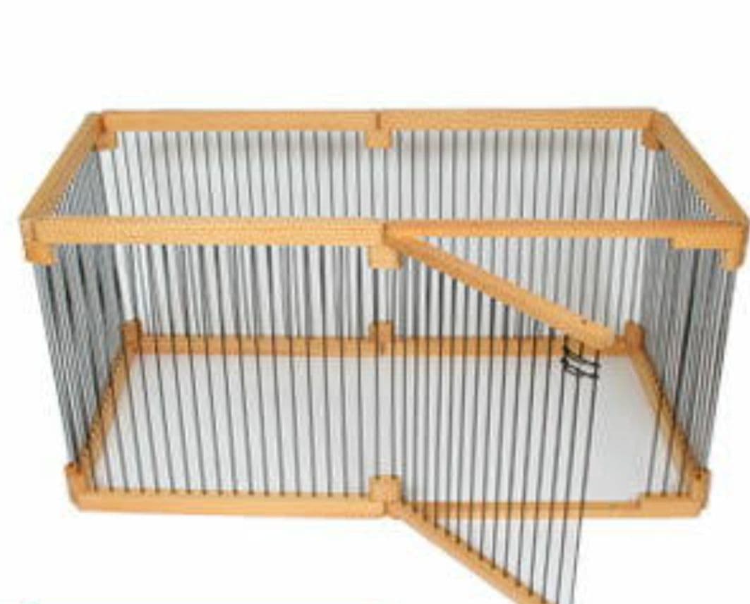 メディカル60 フェレット