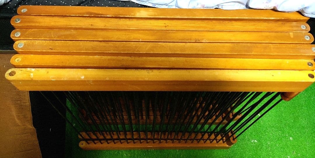 メディカル60 フェレット