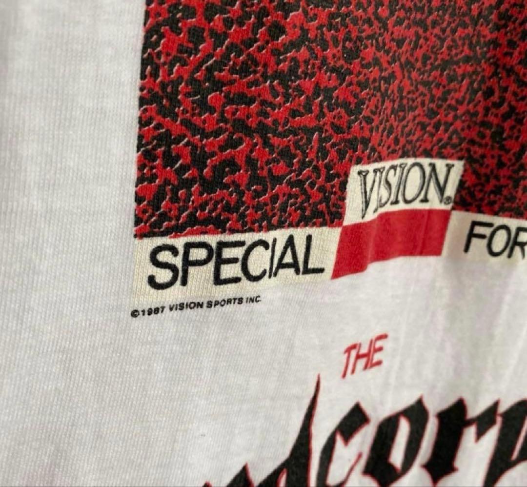 オールド　ビンテージ　vision street wear Tシャツ　OLD