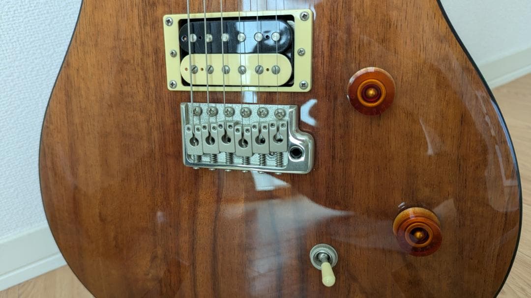 PRS Custom24 SE 保証期間有 必要なもの全て付いてます。【美品】