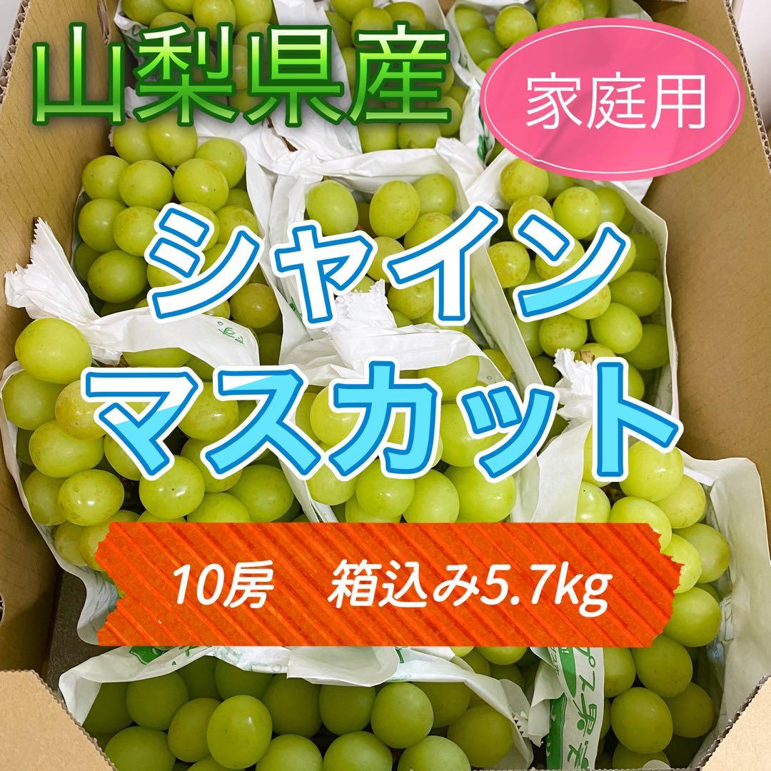 山梨県産　訳あり　家庭用　シャインマスカット　10房　箱込み5.7kg ⑦