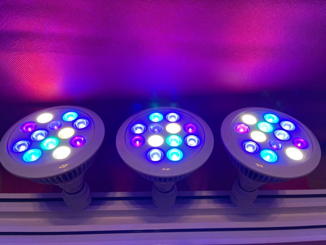 B.R.S Lighting Master 24DCⅡ コーラル・マリン 3灯