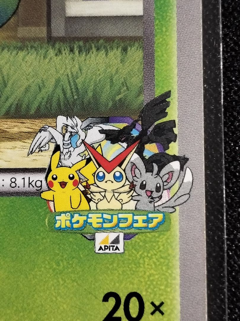 [激レア品]ポケモンフェア アピタ ミジュマル ポカブ ツタージャ プロモ