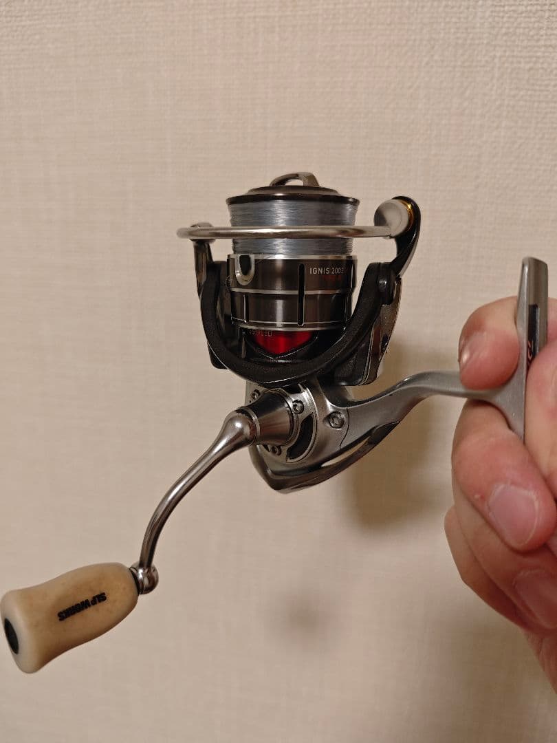 イグニス　2003 Type-R　カスタム