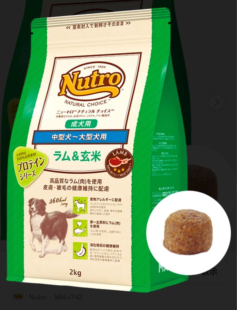 Nutro ラム&玄米中型犬〜大型犬14kg送料無料