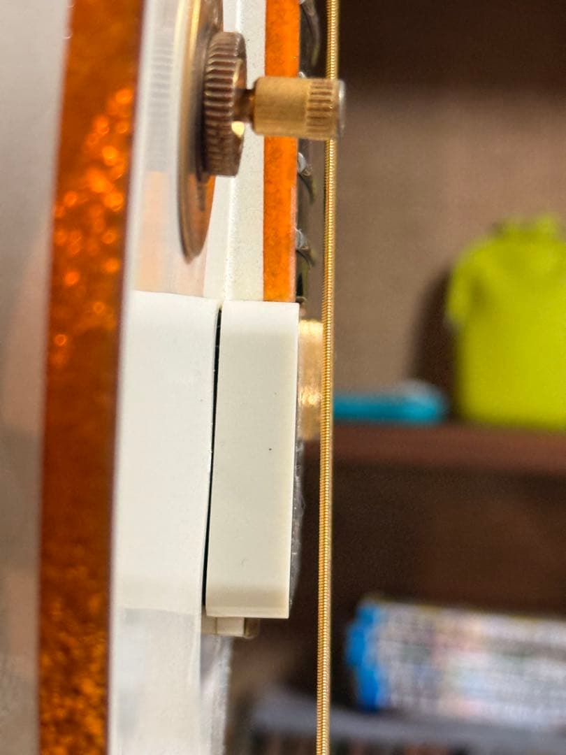 Epiphone Wildkat トンデモ改造品　ビザールギター