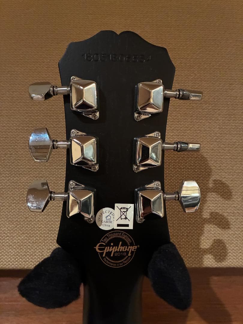 ギター Epiphone Les Paul Special VE