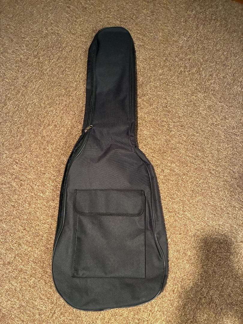 ギター Epiphone Les Paul Special VE