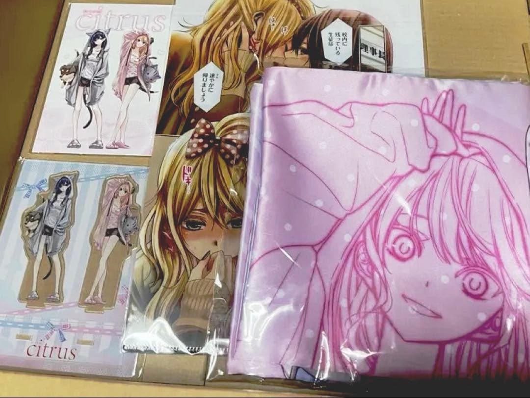 非売品　限定　citrus ホテル　コラボグッズ citrusサブロウタ