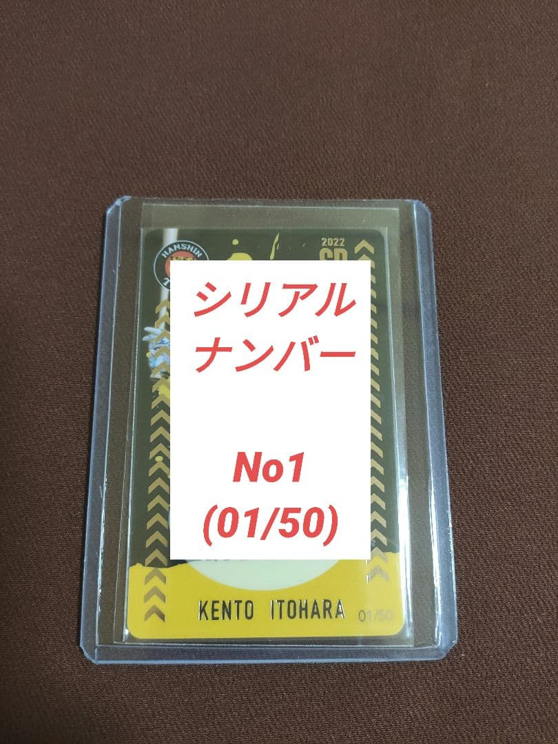 阪神タイガース 糸原健斗 オンサイトカード SR