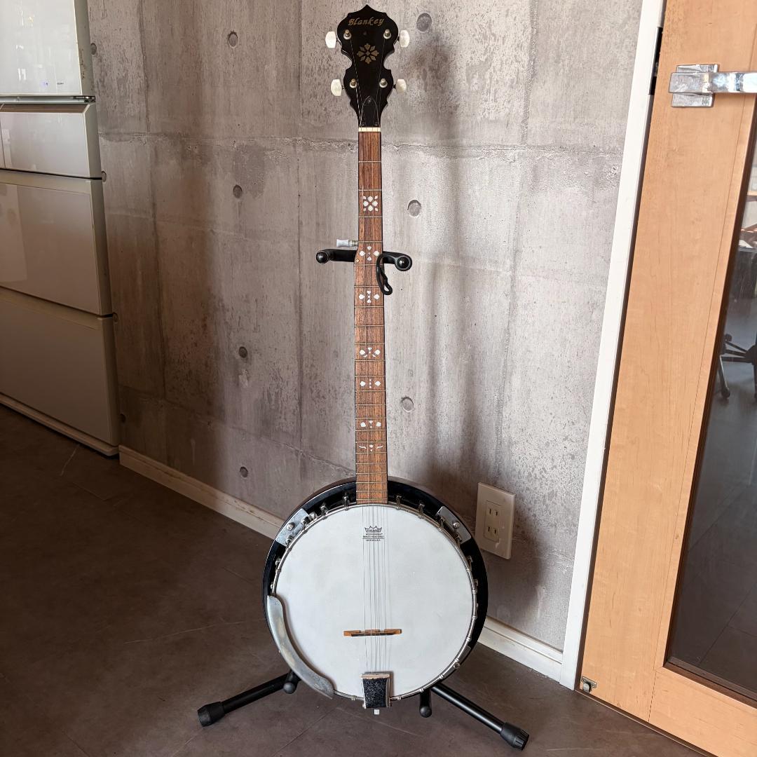 REMO 5弦バンジョー
