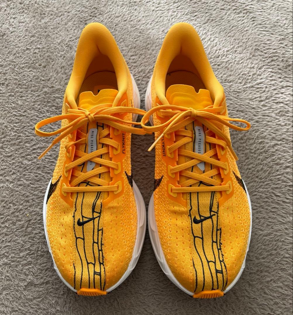 【美品】NIKE ペガサスプラス25.5cm