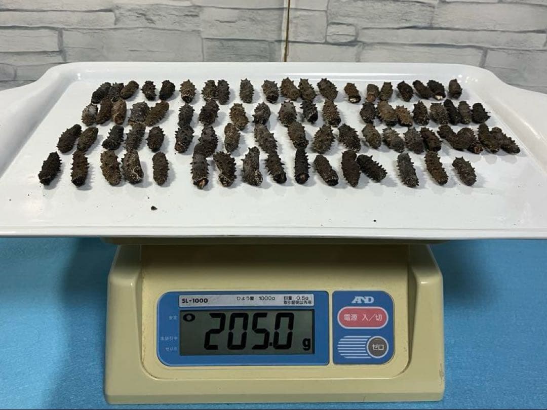 関東産ナマコ A級品200g(76粒) 12,000円