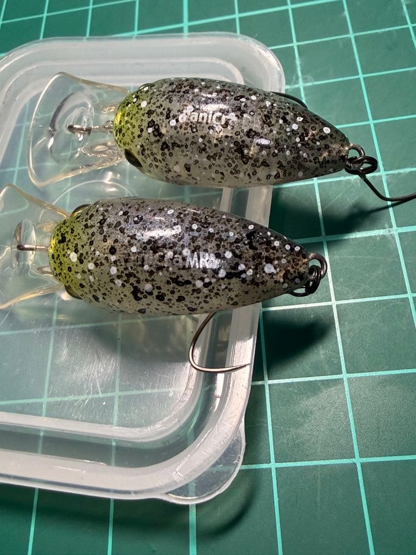 ティモン　パニクラDR MR オオツカオリカラ　恵比寿　激レア