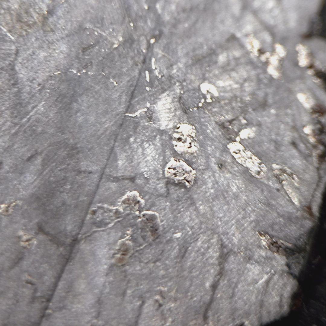 ギベオン隕石（スライス）　12.5g